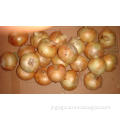 High Quality and Low Price Red Onion (3-5cm)